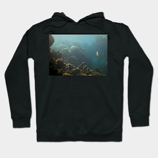 Underwater View Hoodie